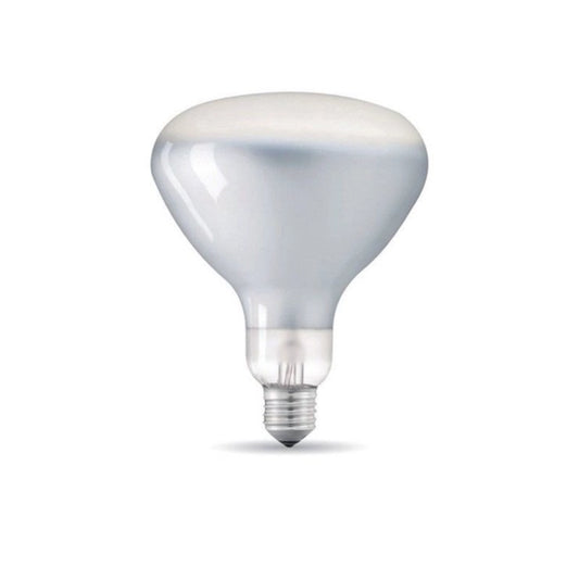 Ampoule E27 LED Dimmable