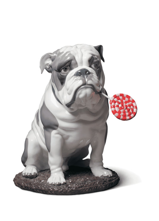 Bulldog Figurines Blanc